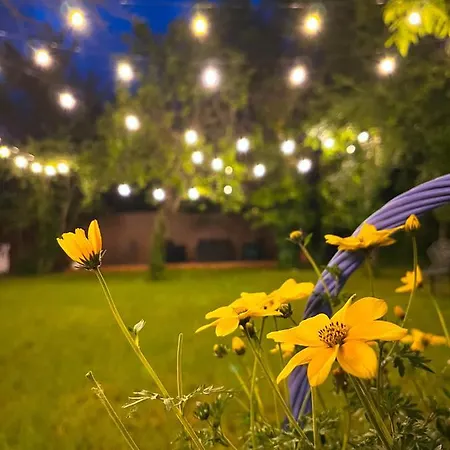 Bed & Breakfast Villabaroque_eger Eger